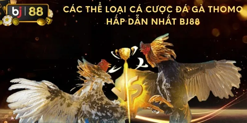 Các thể loại cá cược đá gà Thomo hấp dẫn nhất BJ88