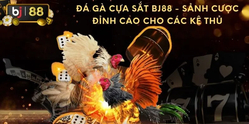 đá gà cựa sắt