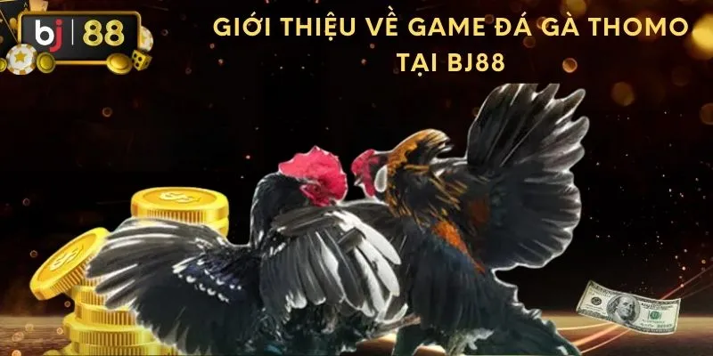 Giới thiệu về game đá gà Thomo tại BJ88