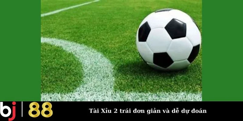 Tài Xỉu 2 trái đơn giản và dễ dự đoán