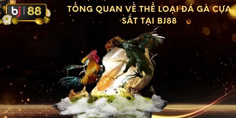 Tổng quan về thể loại đá gà cựa sắt tại BJ88